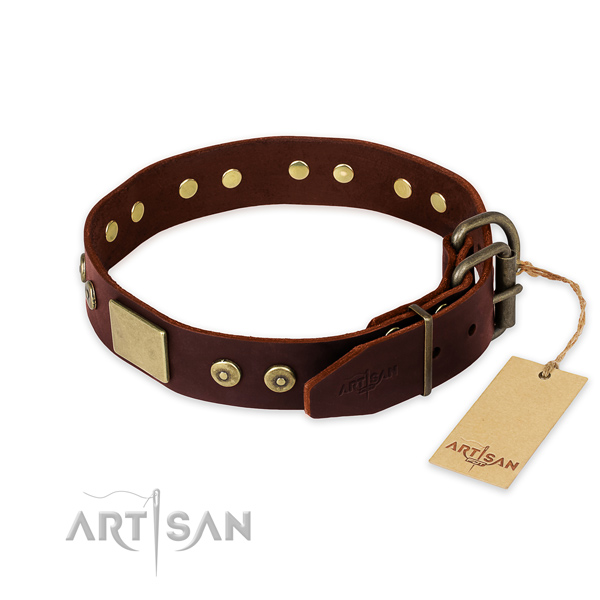 Rust resistant embellishments on handy use dog collar