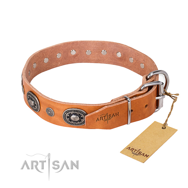 High quality genuine leather dog collar crafted for everyday use