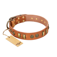 "Natural Beauty" FDT Artisan Tan Leather American Bulldog Collar with Old Bronze-like Circles and Plates (image for) "Natural Beauty" FDT Artisan Tan Leather American Bulldog Collar with Old Bronze-like Circles and Plates
