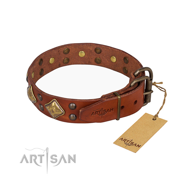Full grain genuine leather dog collar with remarkable corrosion proof studs