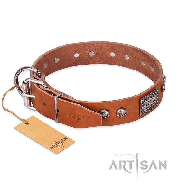 Rust-proof D-ring on everyday use dog collar