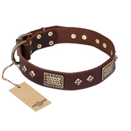"Loving Owner" FDT Artisan Decorated Leather American Bulldog Collar with Plates and Studs (image for) "Loving Owner" FDT Artisan Decorated Leather American Bulldog Collar with Plates and Studs