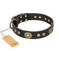 "Golden Radiance" FDT Artisan Black Leather American Bulldog Collar with Old Bronze Look Ovals and Circles (image for) "Golden Radiance" FDT Artisan Black Leather American Bulldog Collar with Old Bronze Look Ovals and Circles