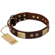 "Shining Armour" FDT Artisan Brown Leather American Bulldog Collar with Decorations (image for) "Shining Armour" FDT Artisan Brown Leather American Bulldog Collar with Decorations