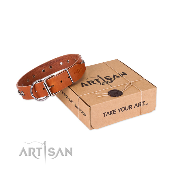 Rust-proof traditional buckle on dog collar for stylish walking