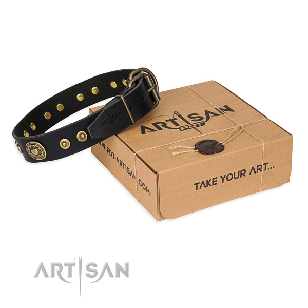 Natural genuine leather dog collar made of soft to touch material with reliable traditional buckle