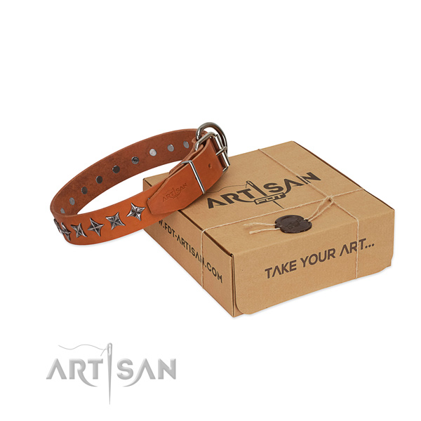 Stylish walking dog collar of durable leather with embellishments