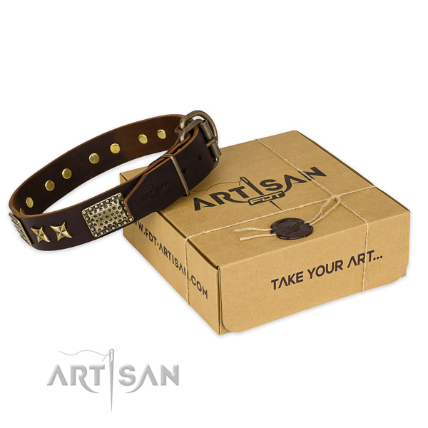 Reliable hardware on leather collar for your impressive pet