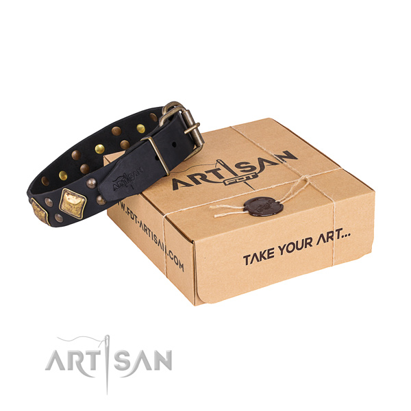Walking dog collar with Designer reliable decorations
