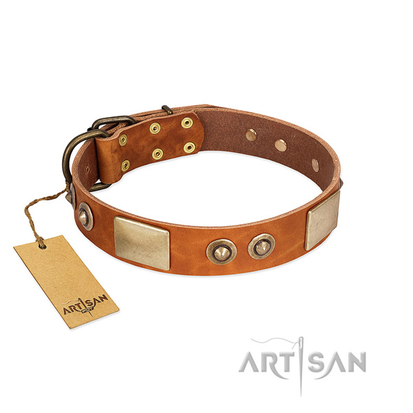 Easy wearing natural genuine leather dog collar for stylish walking your dog