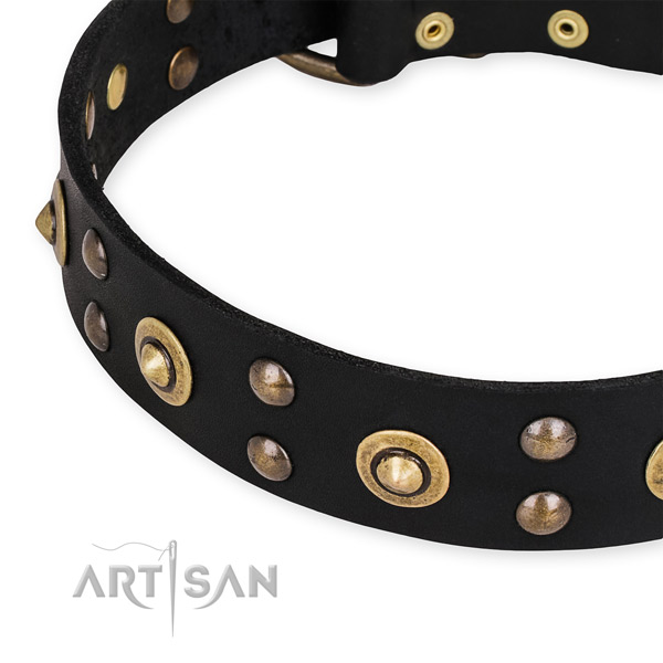 Leather collar with reliable traditional buckle for your beautiful four-legged friend