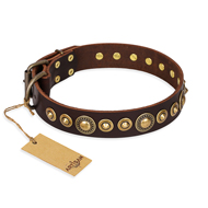 "Ancient Warrior" FDT Artisan Fancy Leather American Bulldog Collar with Old-Bronze Plated Decorations (image for) "Ancient Warrior" FDT Artisan Fancy Leather American Bulldog Collar with Old-Bronze Plated Decorations