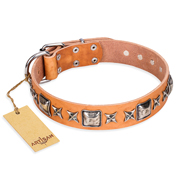 "Glamour Finery" FDT Artisan Female American Bulldog collar of natural leather with stylish old-looking circles (image for) "Glamour Finery" FDT Artisan Female American Bulldog collar of natural leather with stylish old-looking circles