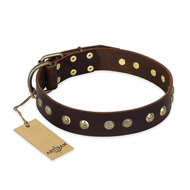 "Bronze Sheen" FDT Artisan Leather American Bulldog Collar with Brass-Plated Studs (image for) "Bronze Sheen" FDT Artisan Leather American Bulldog Collar with Brass-Plated Studs