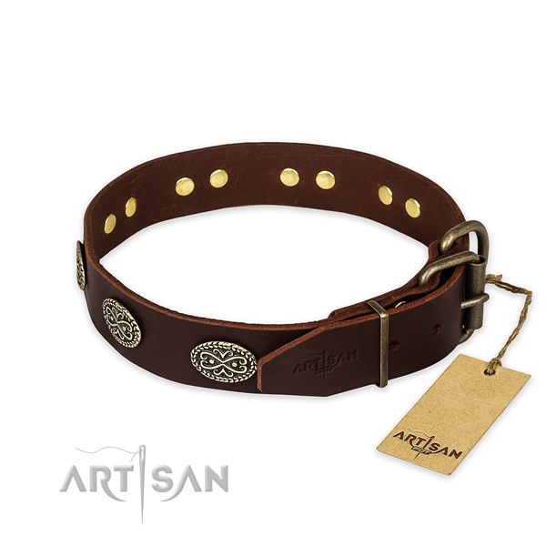 Strong buckle on leather collar for your lovely four-legged friend