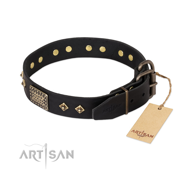 Leather dog collar with reliable traditional buckle and adornments