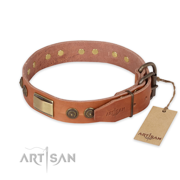 Durable traditional buckle on full grain genuine leather collar for fancy walking your canine