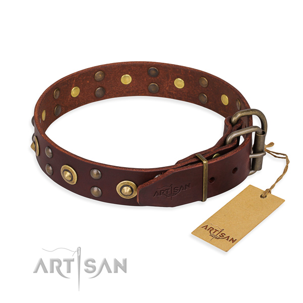 Reliable buckle on genuine leather collar for your stylish four-legged friend