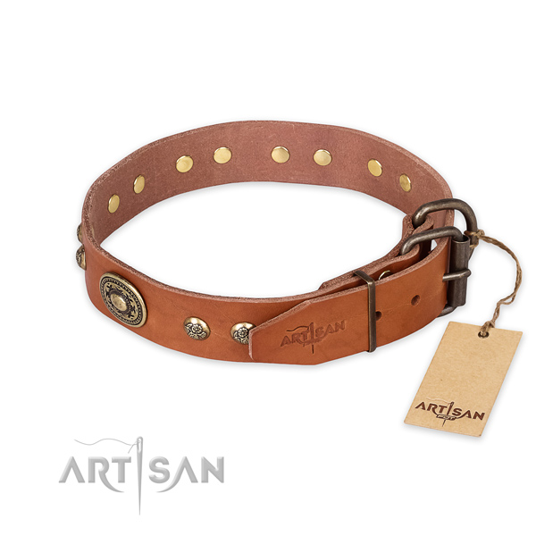 Durable traditional buckle on full grain leather collar for stylish walking your doggie