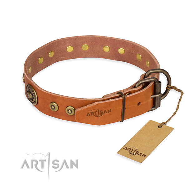 Full grain leather dog collar made of gentle to touch material with reliable adornments