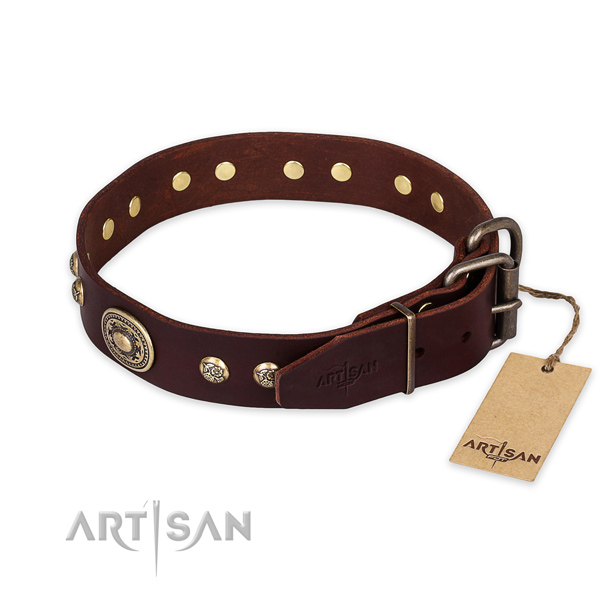 Durable buckle on natural leather collar for daily walking your dog