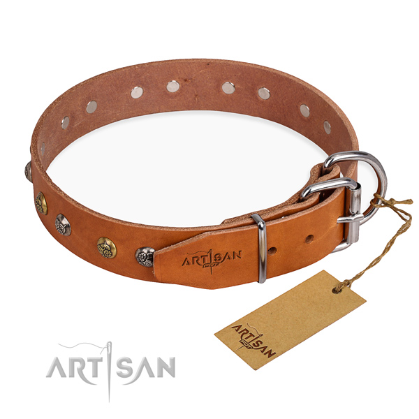 Full grain genuine leather dog collar with fashionable corrosion proof embellishments