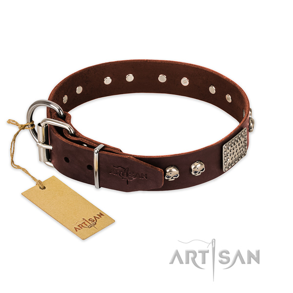 Rust-proof studs on walking dog collar
