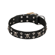 FDT Artisan 'Rock 'n' Roll Style' Fancy Leather American Bulldog Collar with Skulls, Bones and Studs 1 1/2 inch (40 mm) wide (image for) FDT Artisan 'Rock 'n' Roll Style' Fancy Leather American Bulldog Collar with Skulls, Bones and Studs 1 1/2 inch (40 mm) wide