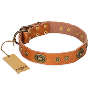 "Dandy Pet" FDT Artisan Handcrafted Tan Leather American Bulldog Collar (image for) "Dandy Pet" FDT Artisan Handcrafted Tan Leather American Bulldog Collar