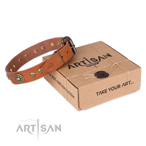 Rust resistant fittings on natural leather dog collar for daily walking