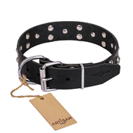 'Mystic Skulls' Decorated Leather Dog Collar with Skulls and Studs (image for) 'Mystic Skulls' Decorated Leather Dog Collar with Skulls and Studs