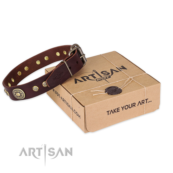 Corrosion resistant fittings on natural leather dog collar for walking