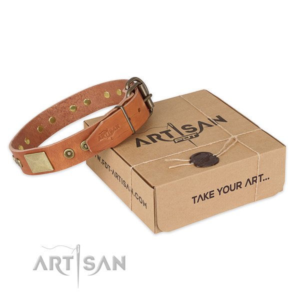 Strong traditional buckle on natural genuine leather dog collar for daily use