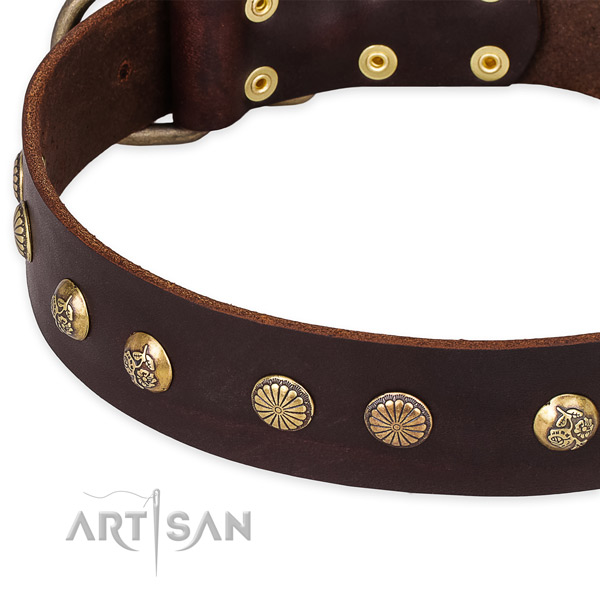 Natural genuine leather collar with corrosion resistant hardware for your lovely doggie