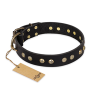 "Black Elegance" FDT Artisan Leather American Bulldog Collar with Round Studs (image for) "Black Elegance" FDT Artisan Leather American Bulldog Collar with Round Studs