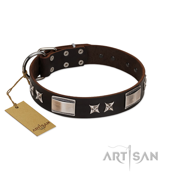 Exceptional dog collar of natural leather