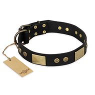 "Spanish night" FDT Artisan Fashionable Leather Walking American Bulldog Collar (image for) "Spanish night" FDT Artisan Fashionable Leather Walking American Bulldog Collar
