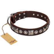"Pierian spring" FDT Artisan Brown Leather American Bulldog Collar with Silvery Decorations (image for) "Pierian spring" FDT Artisan Brown Leather American Bulldog Collar with Silvery Decorations