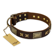 "Sparkling Bronze" FDT Artisan Genuine Leather American Bulldog Collar with Bronze Look Stars and Plates (image for) "Sparkling Bronze" FDT Artisan Genuine Leather American Bulldog Collar with Bronze Look Stars and Plates