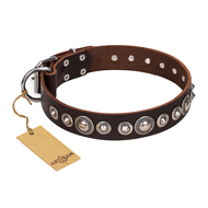 "Step and Sparkle" FDT Artisan Glamorous Studded Brown Leather American Bulldog Collar (image for) "Step and Sparkle" FDT Artisan Glamorous Studded Brown Leather American Bulldog Collar