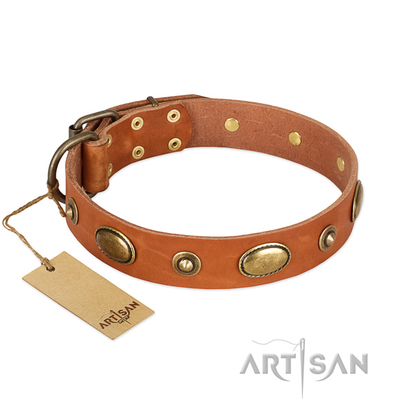 Unique full grain natural leather collar for your canine