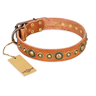 "Feast of Luxury" FDT Artisan Tan Leather American Bulldog Collar with Old Bronze Look Circles (image for) "Feast of Luxury" FDT Artisan Tan Leather American Bulldog Collar with Old Bronze Look Circles