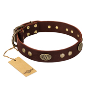 "Old-fashioned Glamor" FDT Artisan Brown Leather American Bulldog Collar with Old Bronze Look Plates and Circles (image for) "Old-fashioned Glamor" FDT Artisan Brown Leather American Bulldog Collar with Old Bronze Look Plates and Circles