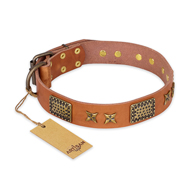 "Cosmic Traveller" FDT Artisan Adorned Leather American Bulldog Collar with Old Bronze-Plated Stars and Plates (image for) "Cosmic Traveller" FDT Artisan Adorned Leather American Bulldog Collar with Old Bronze-Plated Stars and Plates