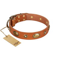 "Visual Magic" FDT Artisan Tan Leather American Bulldog Collar for Daily Activities (image for) "Visual Magic" FDT Artisan Tan Leather American Bulldog Collar for Daily Activities