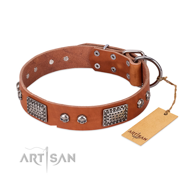 Easy wearing full grain genuine leather dog collar for stylish walking your doggie