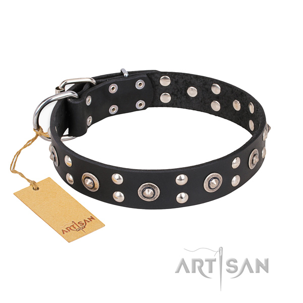 Everyday use stylish dog collar with reliable D-ring