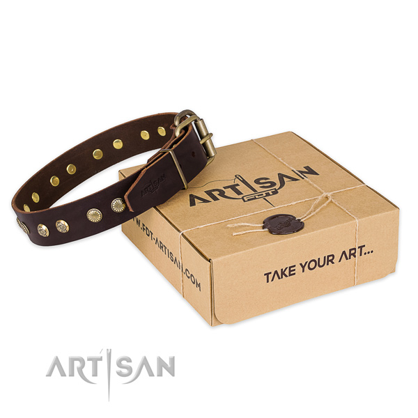 Corrosion proof fittings on genuine leather collar for your handsome canine