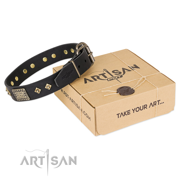 Unusual genuine leather collar for your beautiful canine