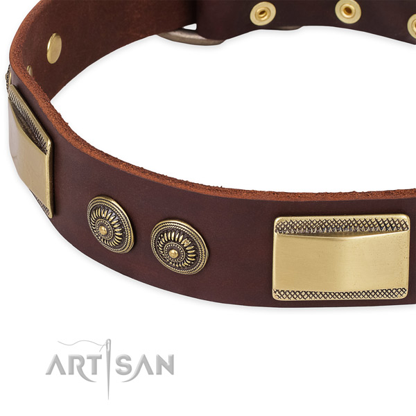 Rust resistant fittings on leather dog collar for your canine